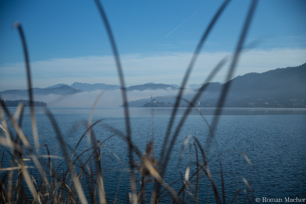 Winternachmittagsspaziergang II