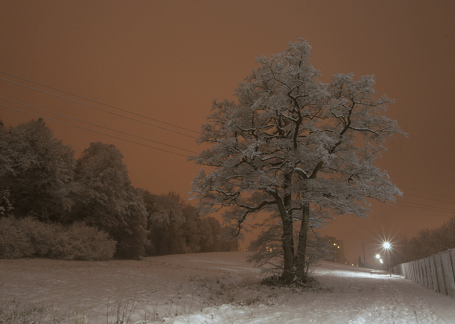 Winternacht