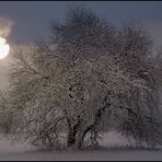 Winternacht..