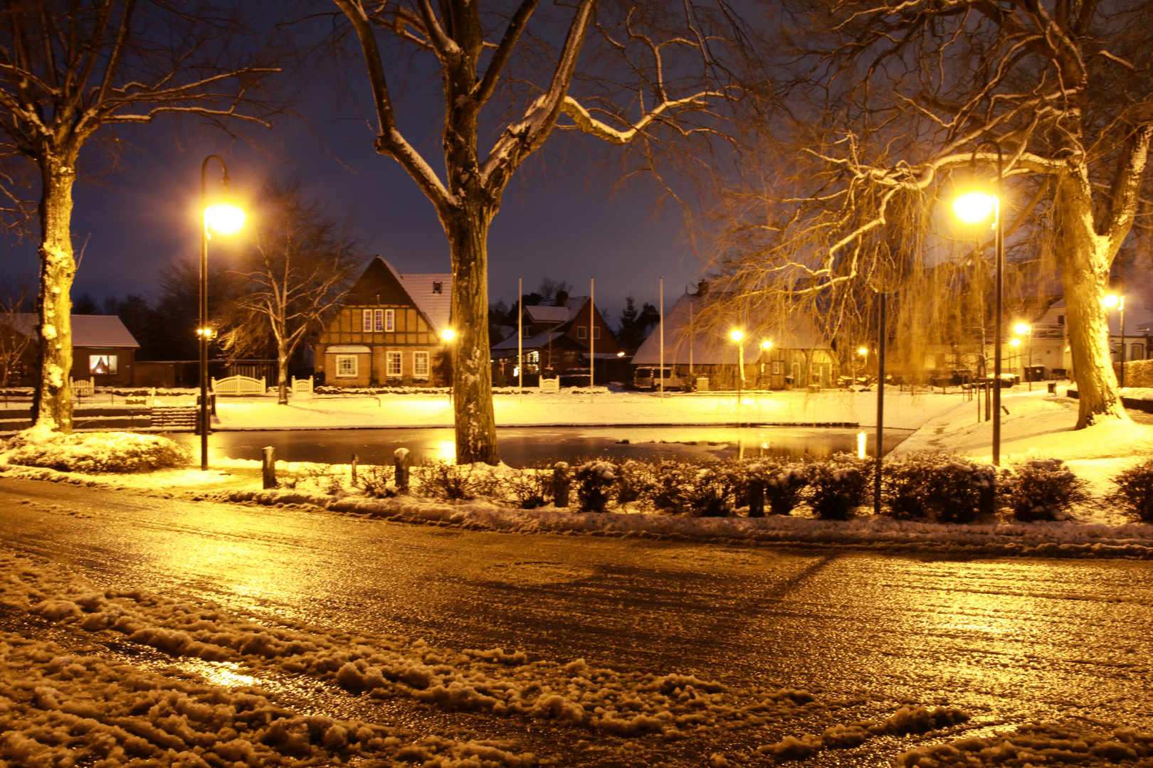 Winternacht am Dorfteich