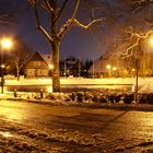 Winternacht am Dorfteich