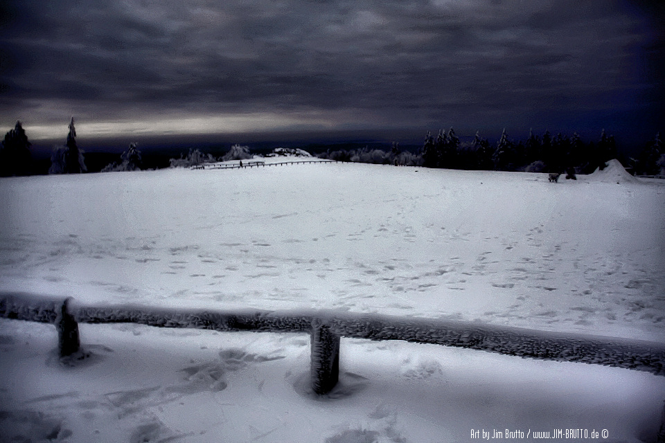 Winternacht auf dem Feldberplateau im Taunus