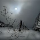 Winternacht...