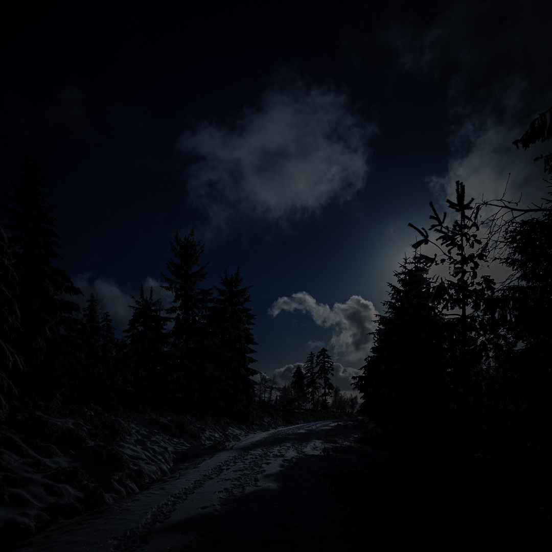 Winternacht im Hochschwarzwald