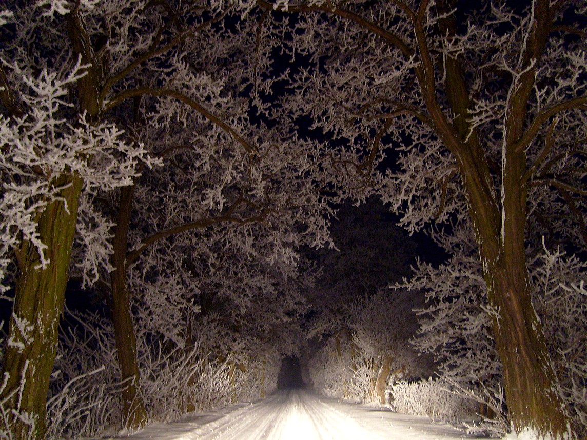 Winternacht im Scheinwerfer