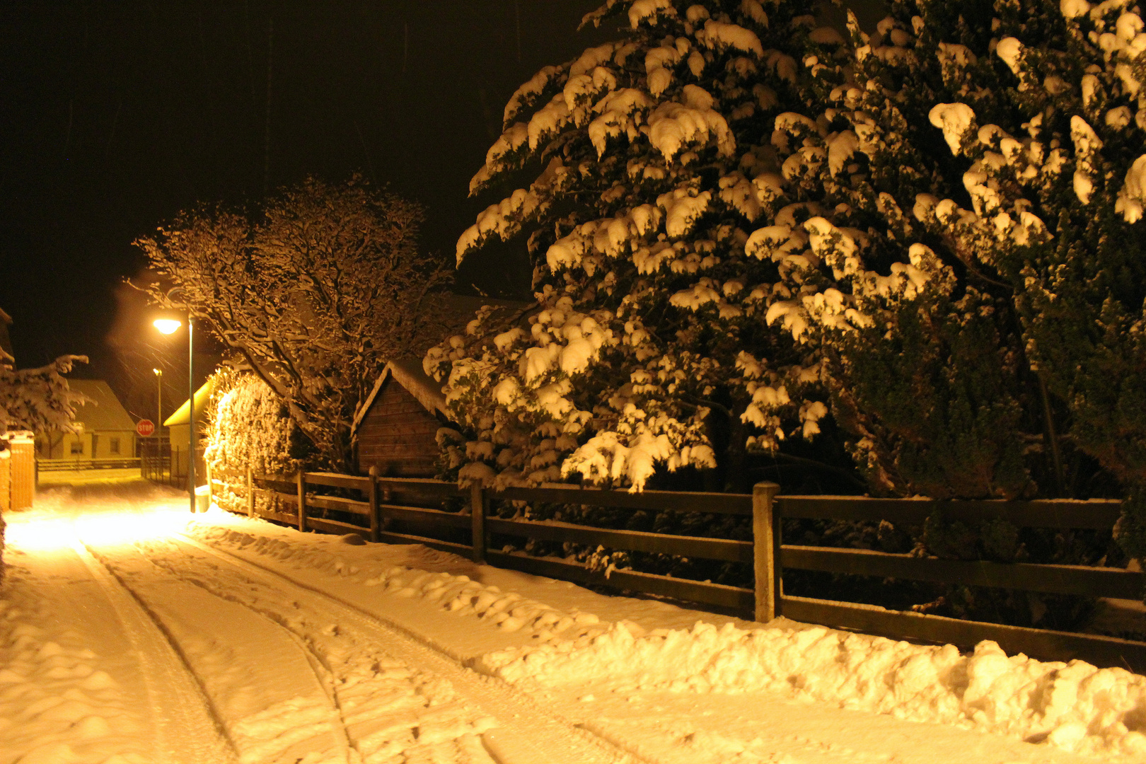 Winternacht in Baruth bei Bautzen