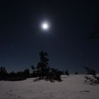 Winternacht in der Eifel