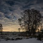 Winternacht in der Heide