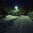 Winternacht in Niedersachsen