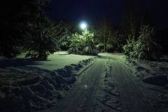 Winternacht in Niedersachsen