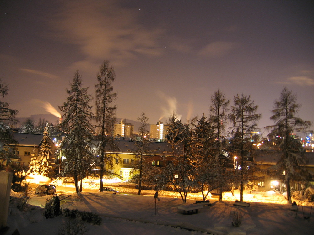 Winternacht in Opfikon