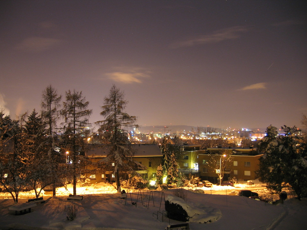 Winternacht in Opfikon II