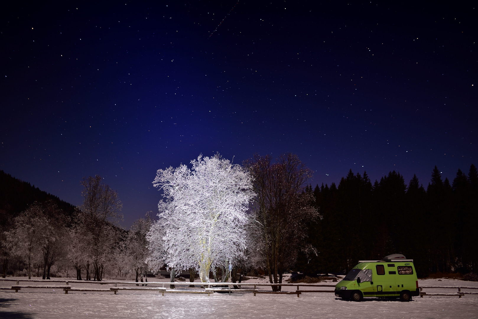 Winternacht mit Baum