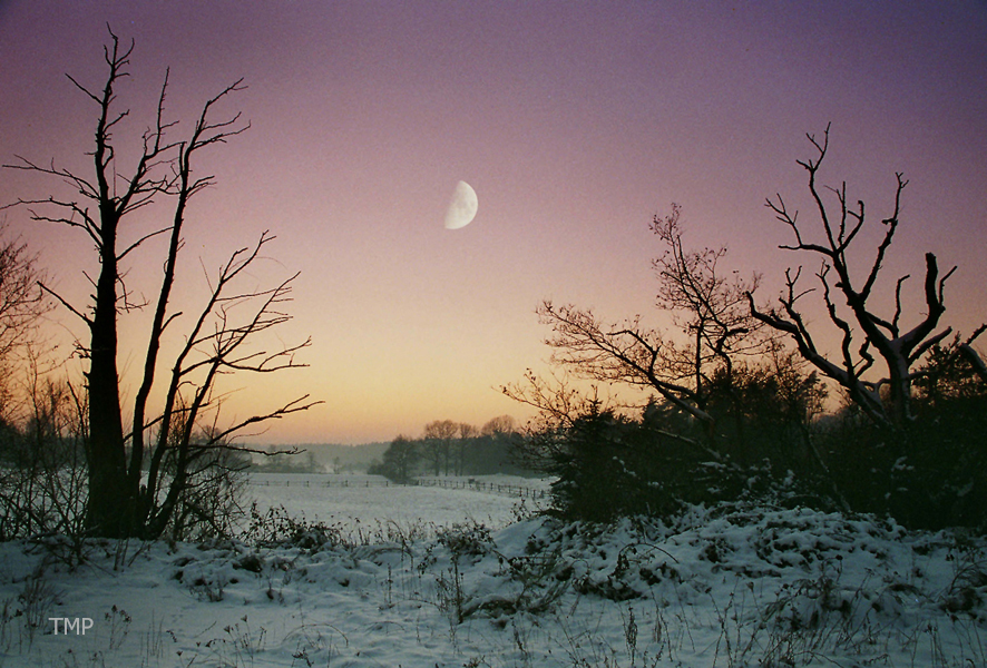 Winternacht mit Halbmond