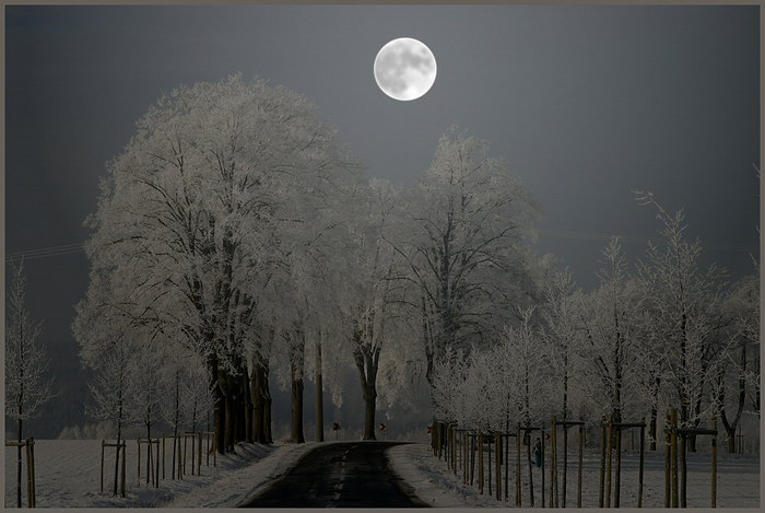 Winternacht - ... oder nur eine Illusion ?