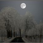 Winternacht - ... oder nur eine Illusion ?
