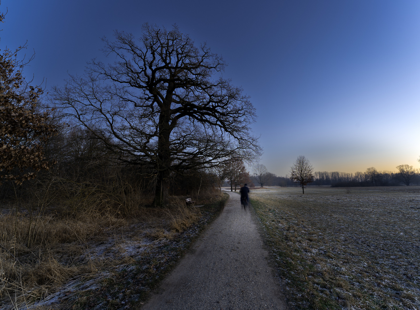 Winternachtfahrt