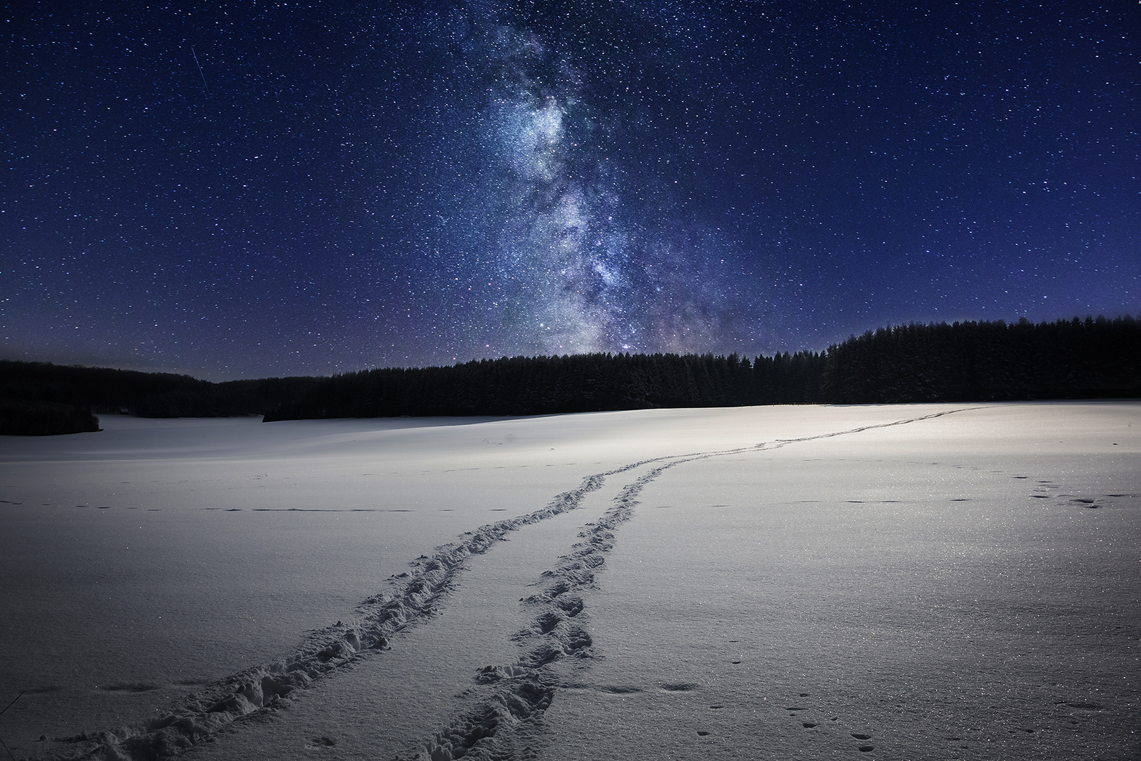 Winternachtstraum