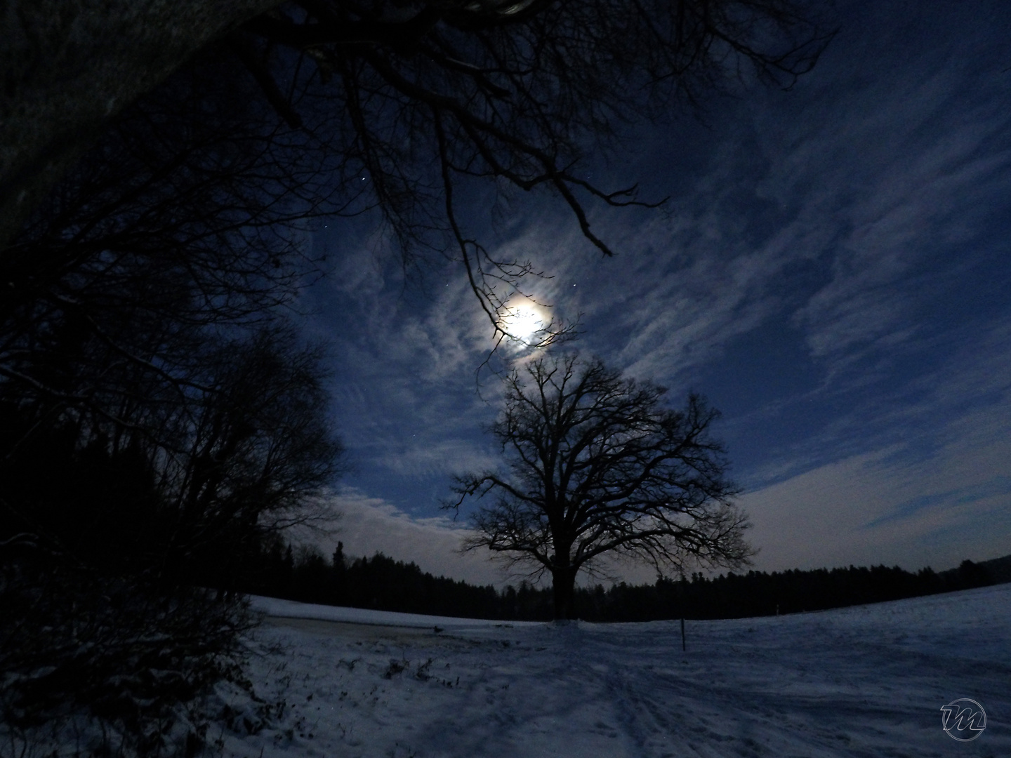 Winternächtges Schweigen hüllet rings die Fluren, Wald und Feld