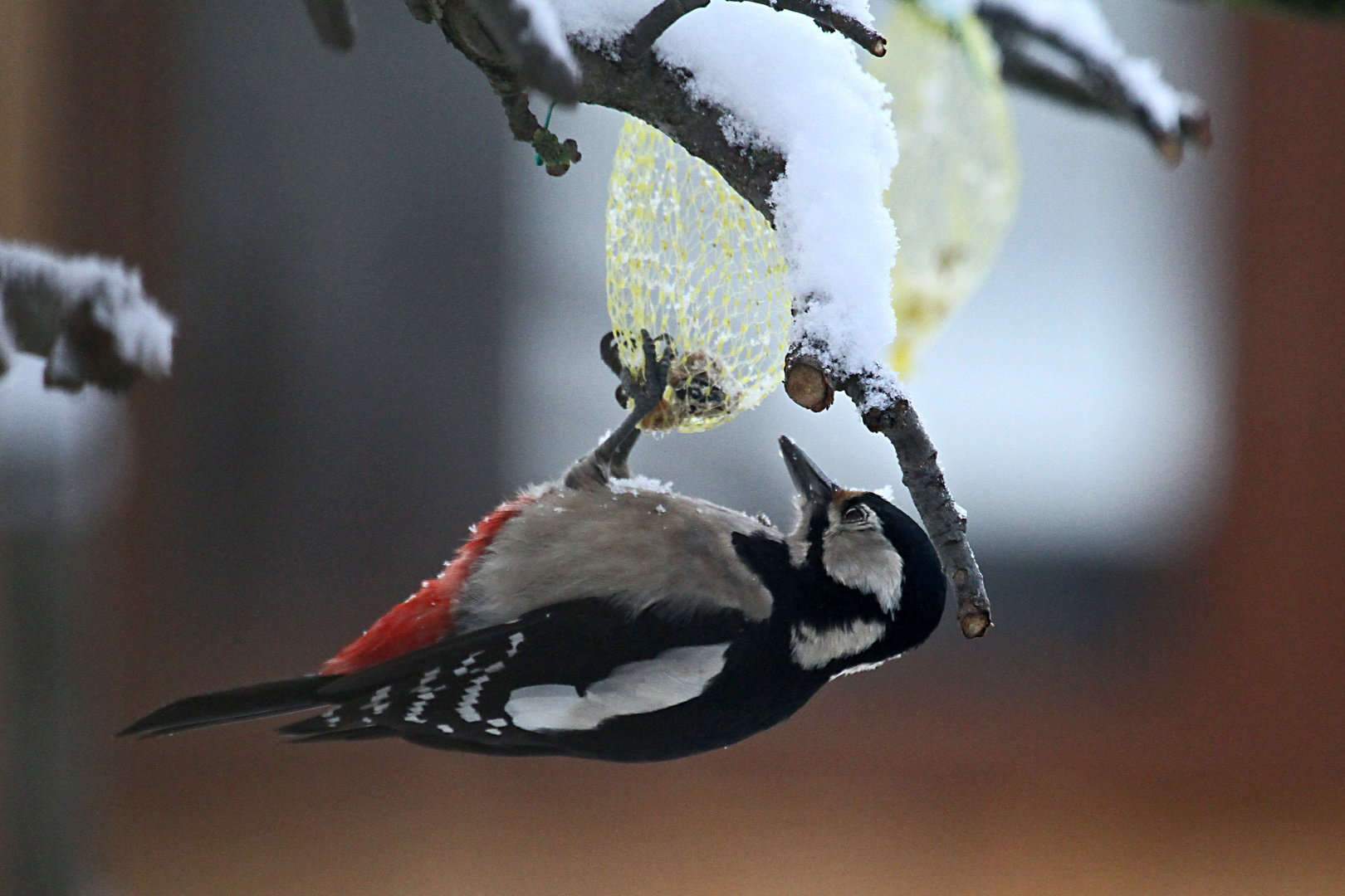 Winternahrug