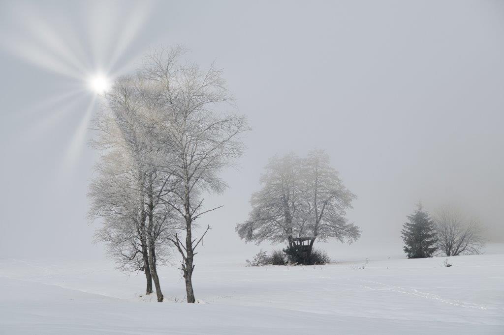 Winternebel