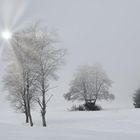 Winternebel