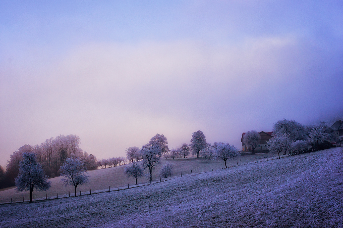 Winternebel