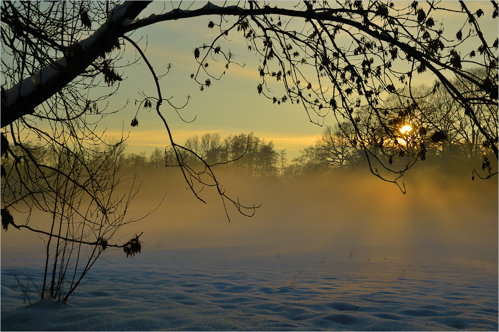 Winternebel ...