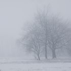 Winternebel