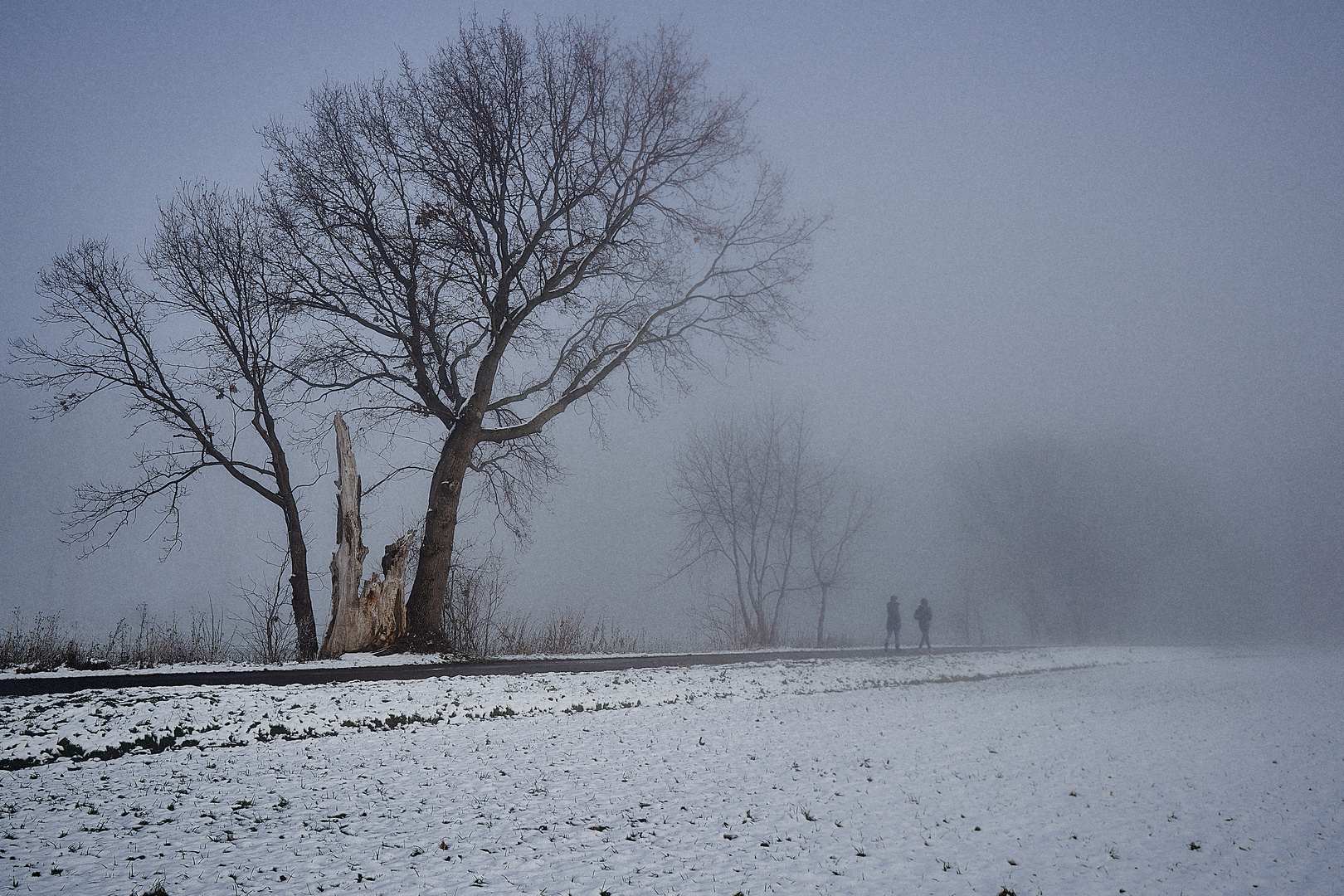 Winternebel-1