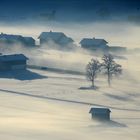 Winternebel-1