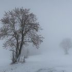 Winternebel...