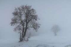 Winternebel...