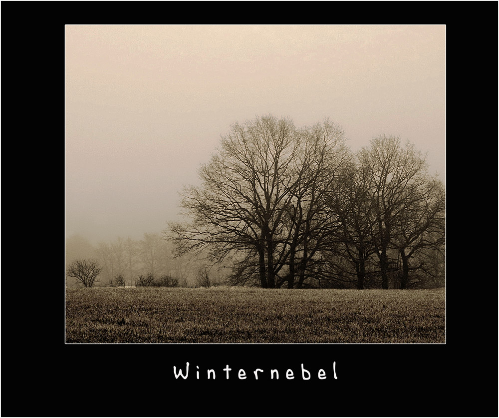 Winternebel