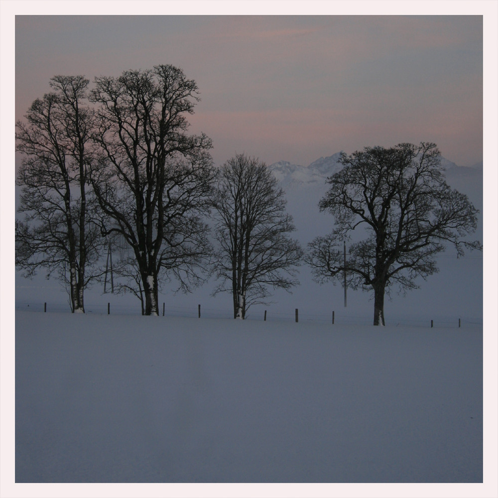 winternebel