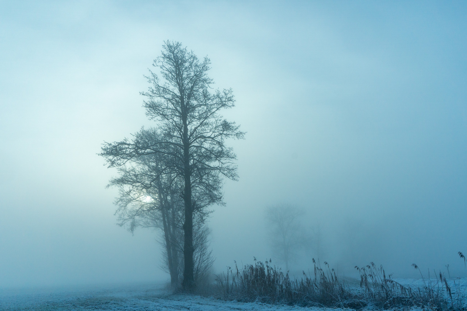 Winternebel