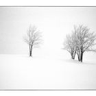 Winternebel 2