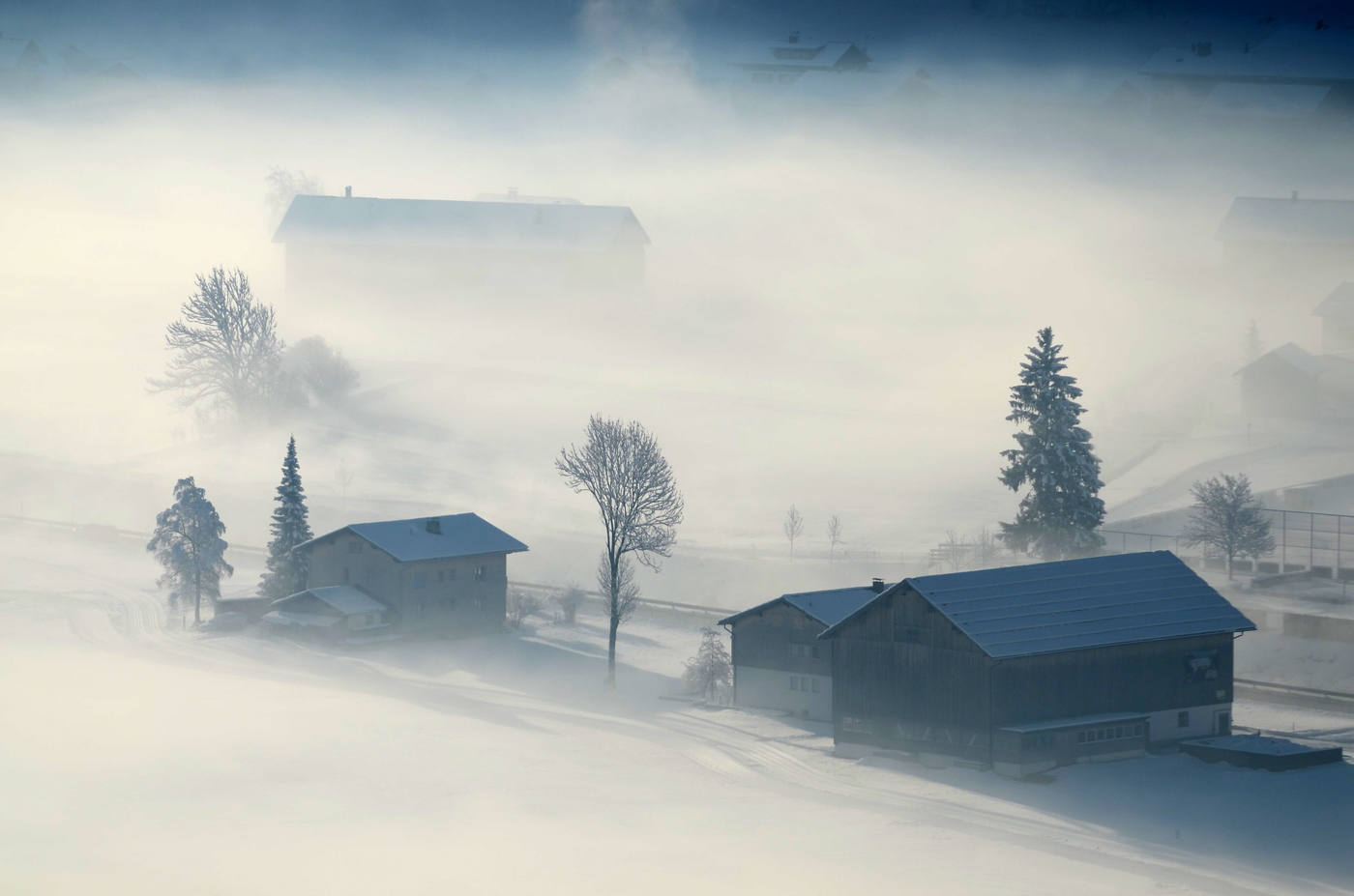 Winternebel-2