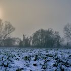 Winternebel-2