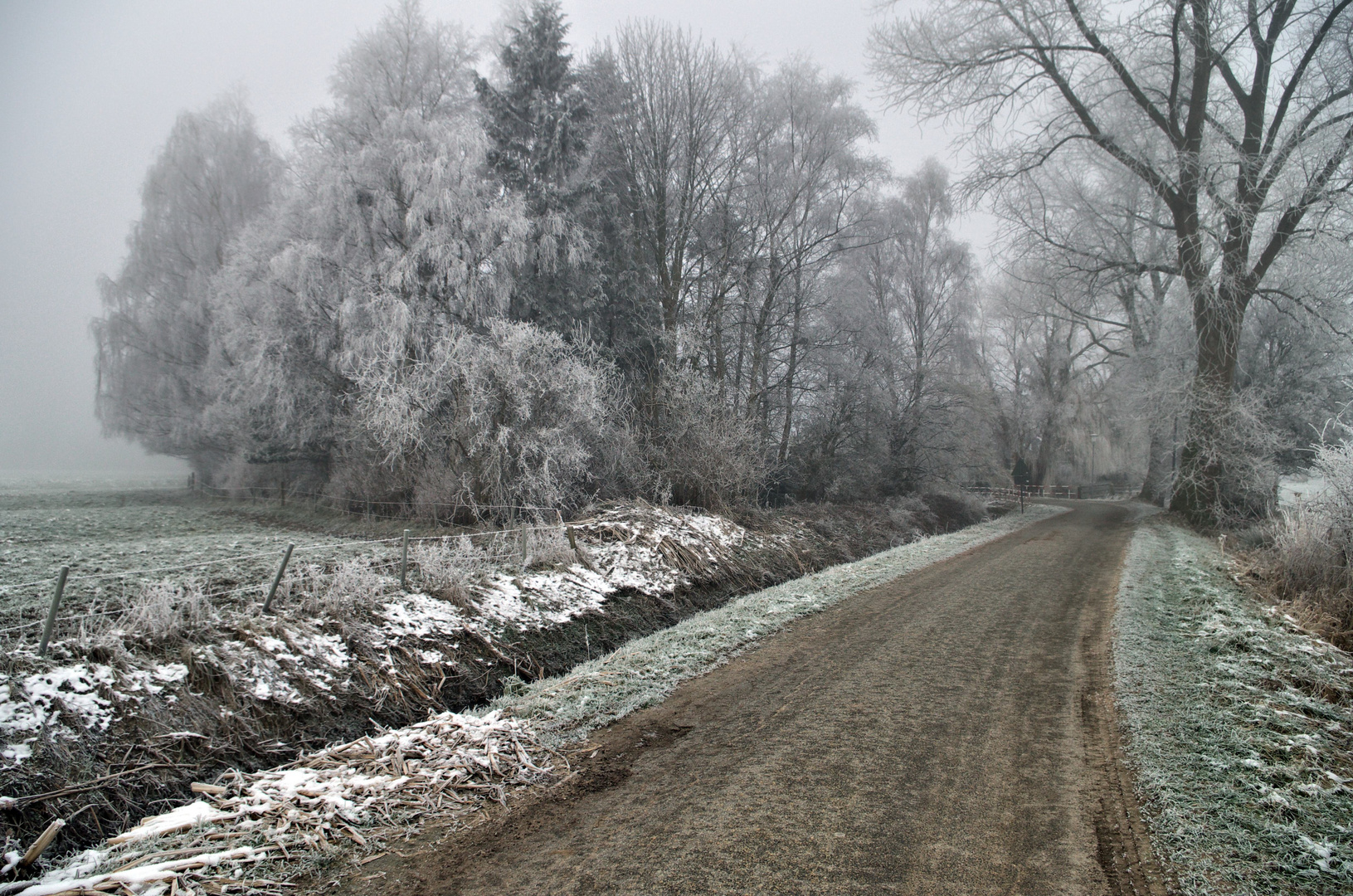 Winternebel 2