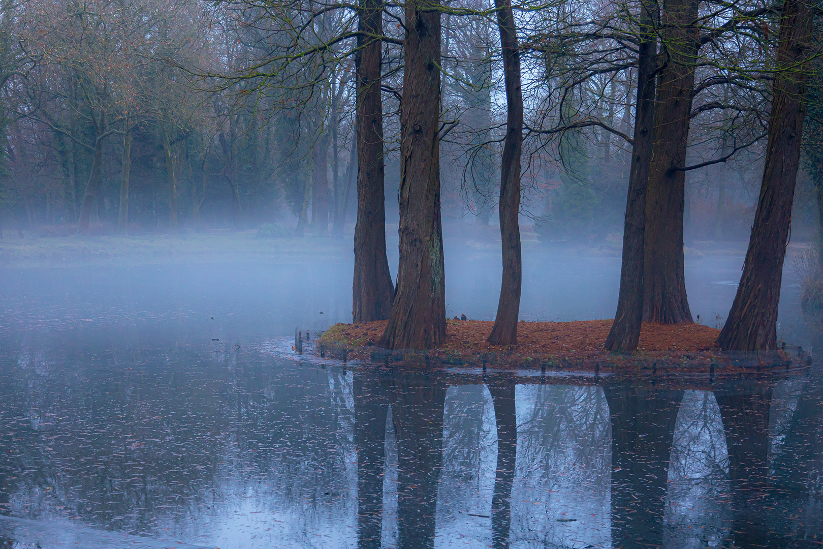 Winternebel