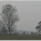 Winternebel