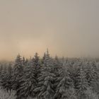 Winternebel