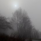 Winternebel