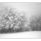 Winternebel 3