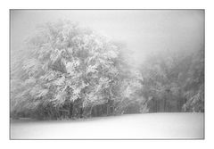 Winternebel 3