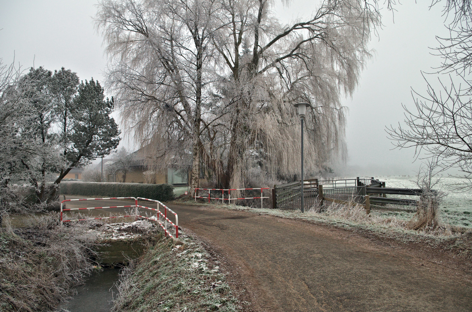 Winternebel 3