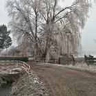 Winternebel 3