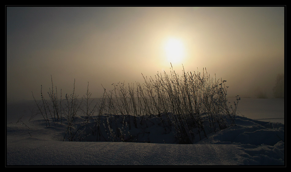 Winternebel [#3]