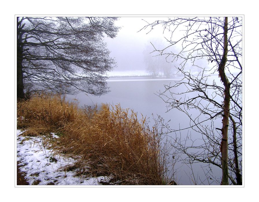 winternebel